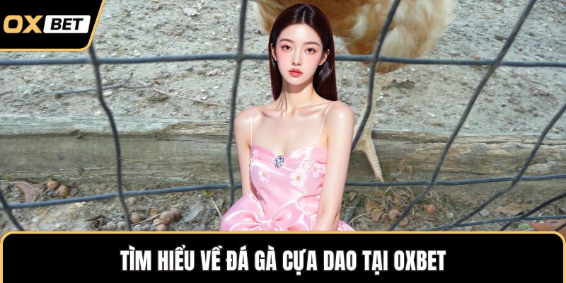 Tìm hiểu về đá gà cựa dao tại OXBET